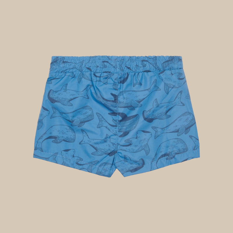 Costume da bagno Boxer UPF 50+ Sea Life Blue - Little Dutch